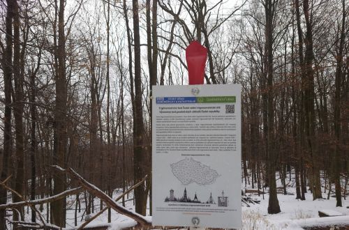 Velký Špičák - závod NK365