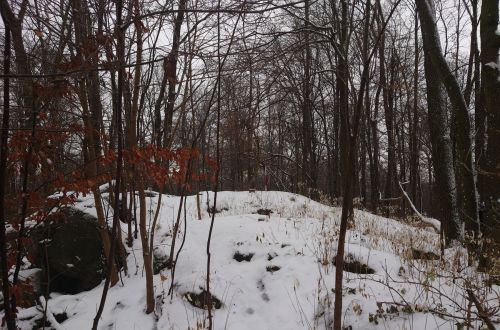 Velký Špičák - závod NK365