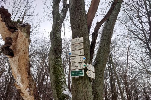 Velký Špičák - závod NK365