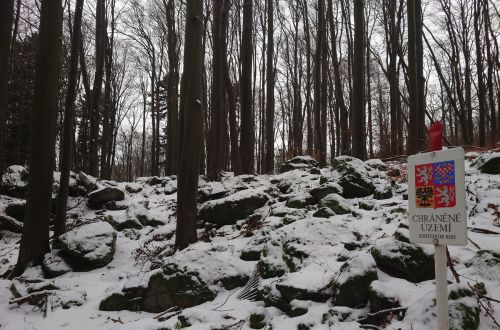 Velký Špičák - závod NK365