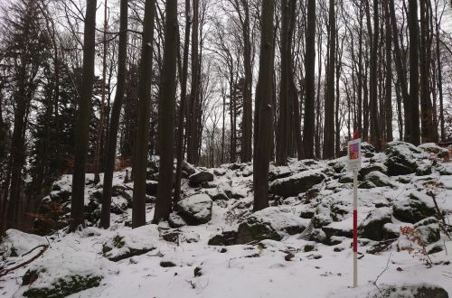 Velký Špičák - závod NK365