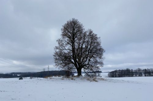 Vyhlídkové místo u Sosny - závod NK365