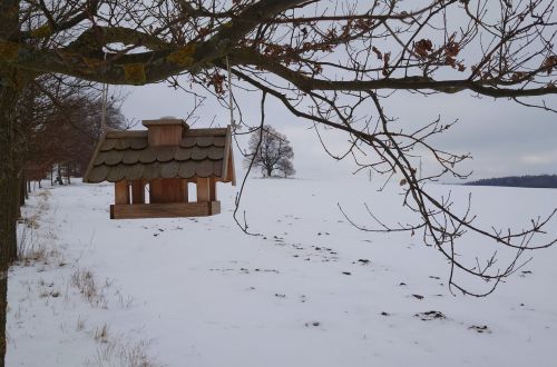 Vyhlídkové místo u Sosny - závod NK365