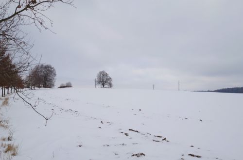 Vyhlídkové místo u Sosny - závod NK365