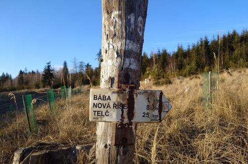 Bába
