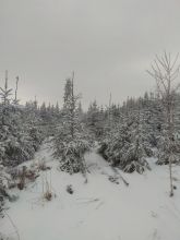 Pehy - Belinka - datum výstupu: 09. 02. 2021 15:41