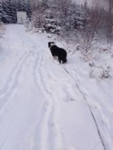 Zdenda - datum výstupu: 05. 03. 2021 17:58