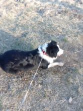 Zdenda - datum výstupu: 11. 04. 2021 18:27