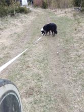 Zdenda - datum výstupu: 06. 05. 2021 18:00