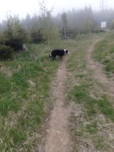 Zdenda - datum výstupu: 24. 05. 2021 18:09