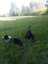 Zdenda - datum výstupu: 30. 05. 2021 18:15