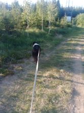 Zdenda - datum výstupu: 07. 06. 2021 19:16