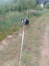 Zdenda - datum výstupu: 01. 07. 2021 19:14