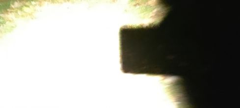 Žíža - datum výstupu: 10. 11. 2021 17:52