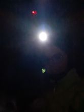 Tobi - datum výstupu: 16. 11. 2021 18:35