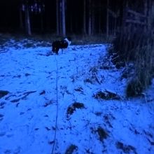 Zdeňka - datum výstupu: 07. 01. 2022 17:03