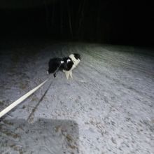 Zdeňka - datum výstupu: 07. 01. 2022 17:53