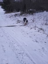 Zdeňka - datum výstupu: 09. 01. 2022 16:37