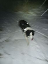Zdeňka - datum výstupu: 09. 01. 2022 17:15