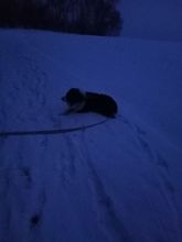 Zdeňka - datum výstupu: 11. 01. 2022 17:09