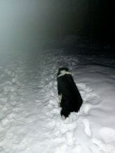 Zdeňka - datum výstupu: 06. 02. 2022 17:49