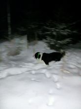 Zdeňka - datum výstupu: 07. 02. 2022 18:05