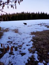 Zdeňka - datum výstupu: 13. 02. 2022 17:22