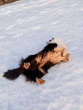 Zdeňka - datum výstupu: 19. 02. 2022 17:18