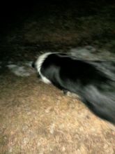 Zdeňka - datum výstupu: 02. 03. 2022 18:33