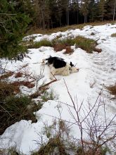 Zdeňka - datum výstupu: 06. 03. 2022 14:00