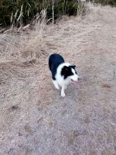 Zdeňka - datum výstupu: 07. 03. 2022 17:54