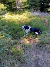 Zdeňka - datum výstupu: 12. 03. 2022 09:29