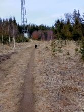 Zdeňka - datum výstupu: 17. 03. 2022 17:30