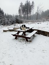 Zdeňka - datum výstupu: 02. 04. 2022 17:21