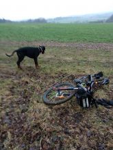 Reiny - datum výstupu: 22. 04. 2022 18:43