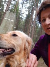 Jira - datum výstupu: 30. 04. 2022 07:15