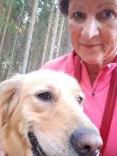 Jira - datum výstupu: 17. 08. 2022 06:43