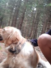 Tobi - datum výstupu: 01. 09. 2022 14:06