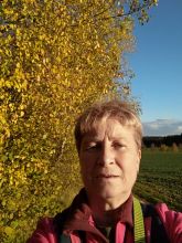 Reiny - datum výstupu: 25. 10. 2022 16:59