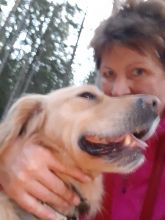 Jira - datum výstupu: 29. 10. 2022 17:51