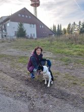 Katka - datum výstupu: 12. 11. 2022 15:21