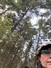 Helen - datum výstupu: 07. 01. 2023 14:49