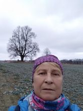 Reiny - datum výstupu: 20. 01. 2023 11:44