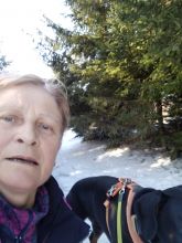 Reiny - datum výstupu: 15. 02. 2023 10:49