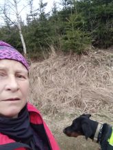 Reiny - datum výstupu: 02. 04. 2023 18:08