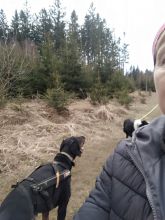 Reiny - datum výstupu: 18. 04. 2023 17:53