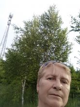 Reiny - datum výstupu: 19. 06. 2023 18:33