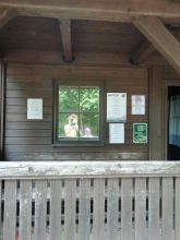 Dad - datum výstupu: 13. 06. 2023 17:01