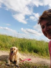 Jira - datum výstupu: 01. 07. 2023 17:29