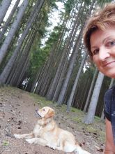 Jira - datum výstupu: 24. 07. 2023 06:39